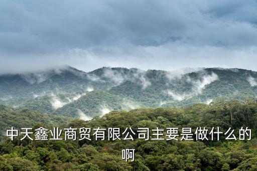 中天鑫業商貿有限公司主要是做什么的啊