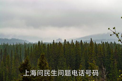 上海問民生問題電話號碼