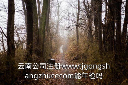 云南省企業登記網絡服務平臺，云南公司注冊wwwtjgongshangzhucecom能年檢嗎