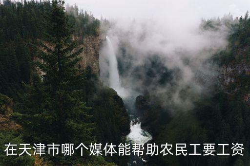 天津市農民討薪，在天津市哪個媒體能幫助農民工要工資