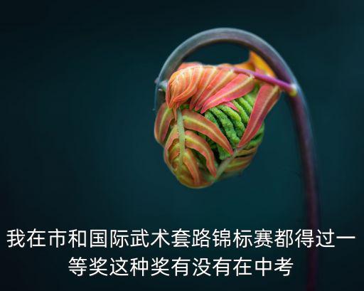 我在市和國際武術(shù)套路錦標(biāo)賽都得過一等獎這種獎有沒有在中考