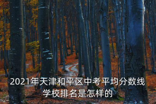 天津市第78初中中學分數，08天津市中考七十八中分數線
