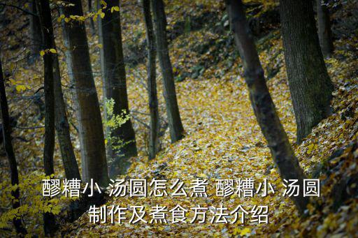  醪糟小 湯圓怎么煮 醪糟小 湯圓制作及煮食方法介紹