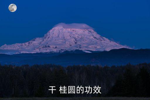 干 桂圓的功效