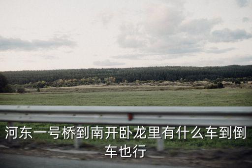 河東一號橋到南開臥龍里有什么車到倒車也行