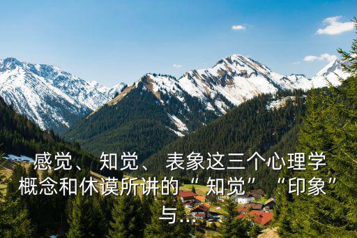  感覺、 知覺、 表象這三個心理學概念和休謨所講的“ 知覺”“印象”與...