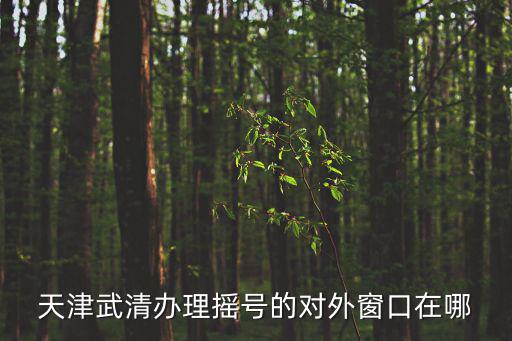 天津武清辦理?yè)u號(hào)的對(duì)外窗口在哪