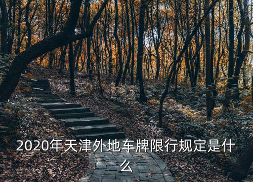 2020年天津外地車牌限行規定是什么