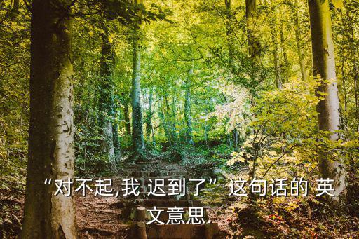 “對不起,我 遲到了”這句話的 英文意思.