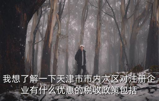 天津市民營企業相關政策，我想了解一下天津市市內六區對注冊企業有什么優惠的稅收政策包括