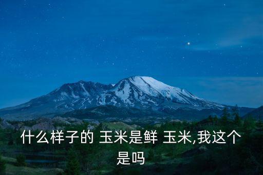 什么樣子的 玉米是鮮 玉米,我這個(gè)是嗎