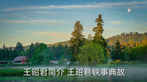  王昭君簡介 王昭君軼事典故