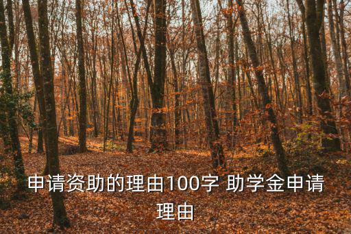 申請資助的理由100字 助學金申請理由