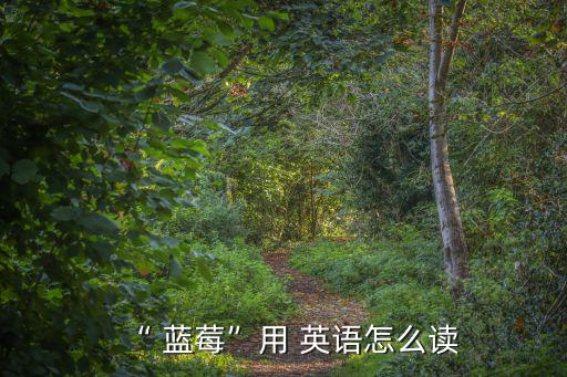 “ 藍莓”用 英語怎么讀