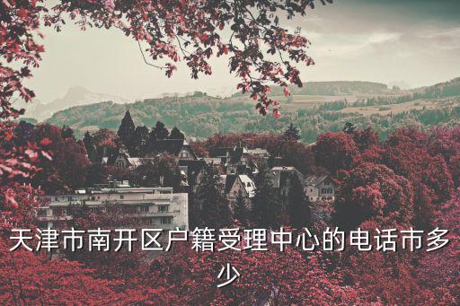 天津市南開區戶籍受理中心的電話市多少