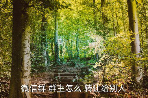 微信群 群主怎么 轉(zhuǎn)讓給別人