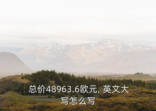  總價(jià)48963.6歐元, 英文大寫怎么寫