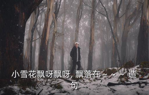 小雪花飄呀飄呀, 飄落在～～～ 造句
