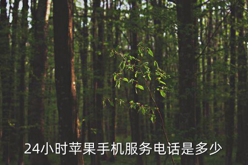 24小時蘋果手機服務電話是多少