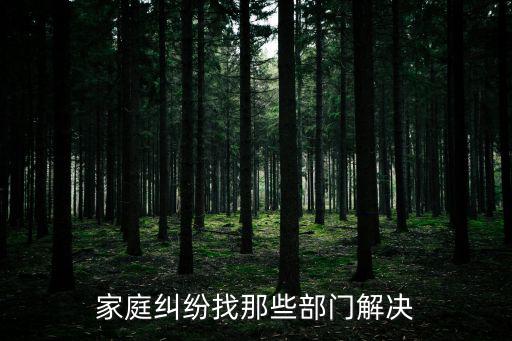 家庭糾紛找那些部門解決
