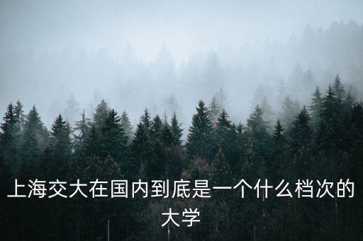 上海交大在國內到底是一個什么檔次的大學