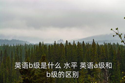  英語b級是什么 水平 英語a級和b級的區別