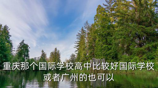 重慶那個國際學(xué)校高中比較好國際學(xué)校或者廣州的也可以
