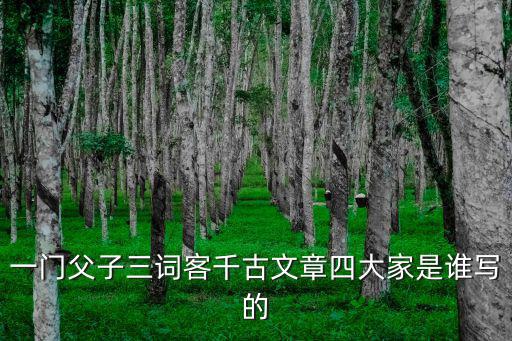 張鵬翮，這個文人是誰