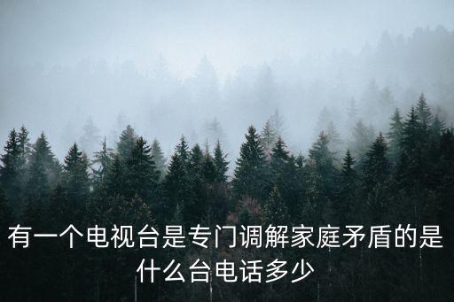 有一個電視臺是專門調解家庭矛盾的是什么臺電話多少
