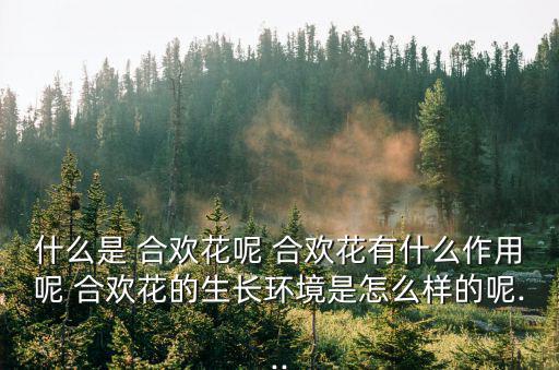 合歡花,合歡花的功效與作用