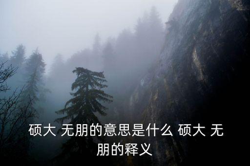 碩大無朋的近義詞,彭大無朋的大字注音