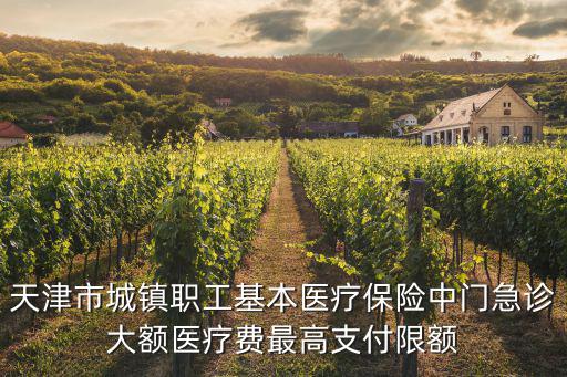 天津市城鎮職工基本醫療保險中門急診大額醫療費最高支付限額