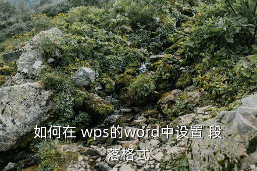 如何在 wps的word中設置 段落格式