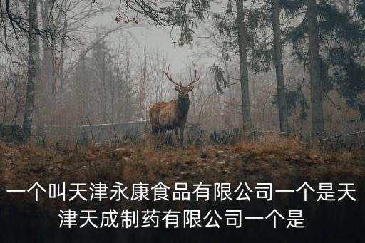 一個(gè)叫天津永康食品有限公司一個(gè)是天津天成制藥有限公司一個(gè)是