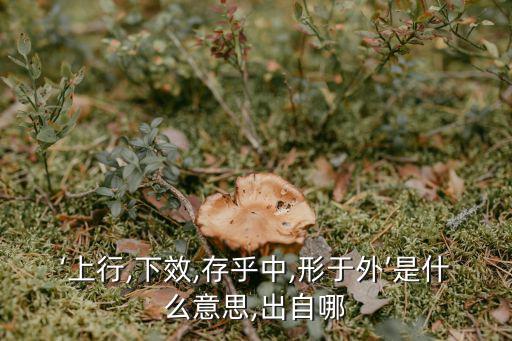 ‘上行,下效,存乎中,形于外’是什么意思,出自哪