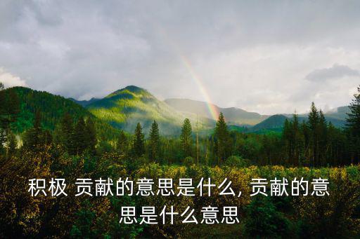積極 貢獻的意思是什么, 貢獻的意思是什么意思