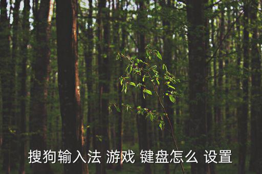 游戲鍵盤怎么設(shè)置,用搜狗輸入法打開游戲鍵盤操作過程