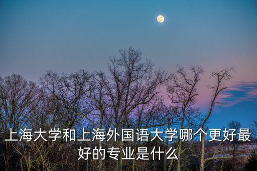 上海大學和上海外國語大學哪個更好最好的專業是什么