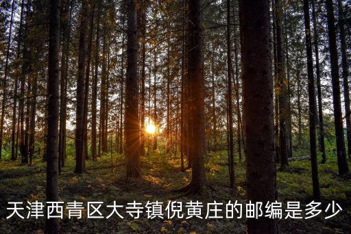 天津西青區(qū)大寺鎮(zhèn)倪黃莊的郵編是多少