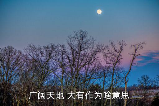 廣闊天地 大有作為啥意思