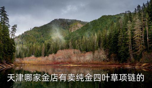 天津哪家金店有賣純金四葉草項(xiàng)鏈的