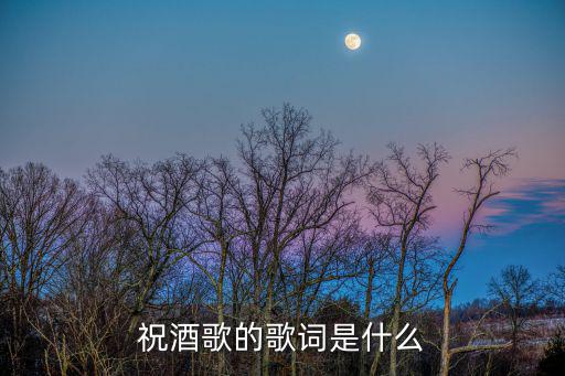 祝酒歌歌詞，彝族各式敬酒歌歌詞