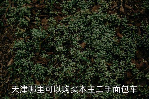 天津哪里可以購買本主二手面包車