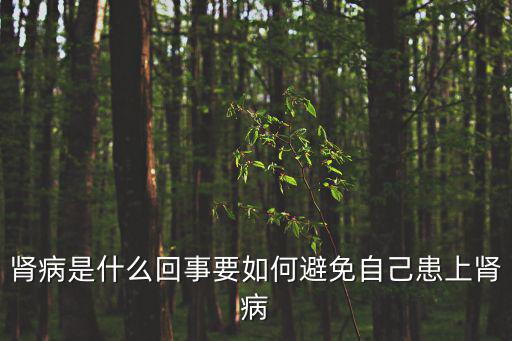 腎臟病,我國仍以原發(fā)性腎小球腎炎為主要病例