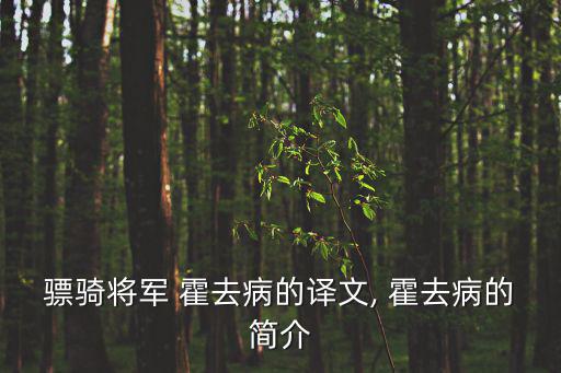 霍去病簡介,狀元趙去病病逝年僅24歲