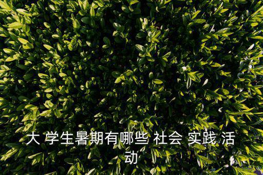 大 學生暑期有哪些 社會 實踐 活動
