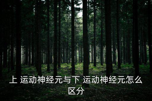 上運動神經元,脊髓前角細胞胞突形成外周神經稱為下運動神經元