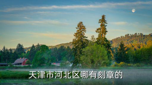 天津市河北區哪有刻章的