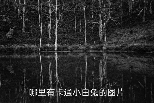 哪里有卡通小白兔的圖片