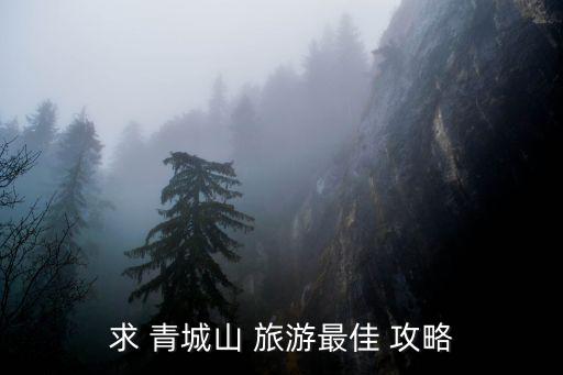 青城山旅游攻略,青城山門票在90元學生證半票一天內來回穿梭